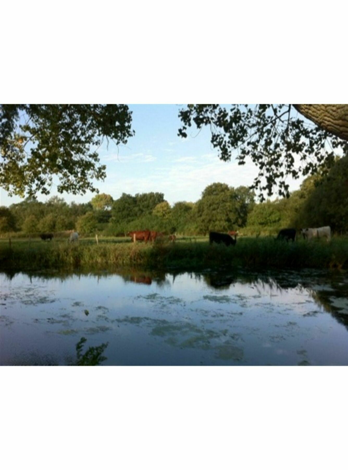 Long Melford Accommodation, Old Stables Luaran gambar